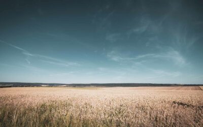 POURQUOI VIVRE À LA CAMPAGNE ?